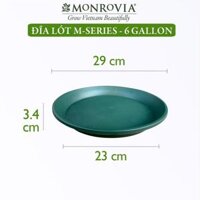 Đĩa lót chậu nhựa trồng cây Monrovia chậu trồng cây, chậu cây cảnh mini, để bàn, treo ban công, treo tường, chính hãng - Chậu 6 gallon