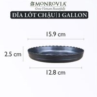 Đĩa lót chậu nhựa trồng cây Monrovia chậu trồng cây, chậu cây cảnh mini, để bàn, treo ban công, treo tường, chính hãng - Chậu 1 gallon đen