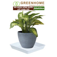Dĩa nhựa lót chậu cây, nhựa nguyên sinh, bền, đẹp  Greenhome - DĨA NHỰA VUÔNG R25CM