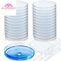 Đĩa nhựa trong suốt sâu vô trùng để phân tích phòng thí nghiệm, các dự án trường học, mẫu máu, Đĩa nuôi cấy tế bào hạt giống