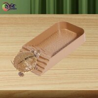 Đĩa nước có đĩa thức ăn cho rùa Ramp cho rùa Leopard Hamster