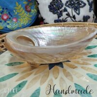 Dĩa Ốc Rainbows Cao Cấp Nhập Khẩu NewZealand (15-17cm) - Dĩa Trai Đốt Sage