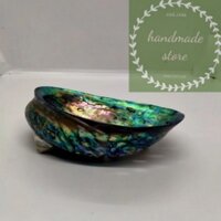 Dĩa Ốc Xà Cừ Xanh Cao Cấp Nhập Khẩu NewZealand (10-11cm) - Dĩa Trai Đốt Sage