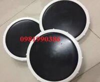 Đĩa phân phối khí đài loan RSD 270