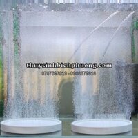 ĐĨA SỦI OXY CHO HỒ CÁ | TÁN NHUYỄN HẤP THỤ OXY TỐT CHO CÁ TÉP HỒ CÁ THỦY SINH