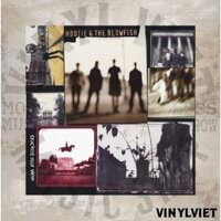 Đĩa Than Hootie & The Blowfish  - Cracked Rear View - Vinyl