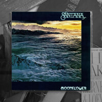 Đĩa Than ( Vinyl) - Santana – Moonflower