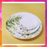 Dĩa thuỷ tinh Mỹ Provence Garden Corelle PVG-106-108-110 (17cm-21.6cm-25cm)