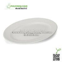 Đĩa xoài 10” (25.5cm)