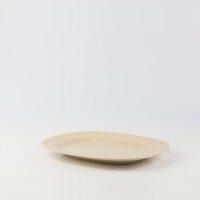 Dĩa xoài vuông 10" | P416-10
