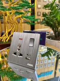 DIALOG 86 – GRAY (16A/250V) USB/Type C & 3 Pole Socket & Switch Lock – PEHA