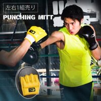 Đích Đá Tập Võ taekwondo / boxing / taekwondo Cứng Cáp