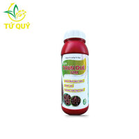 Dịch Trùn Quế Chai 1 Lít