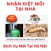 Dịch Vụ Diệt Mối tận Gốc Tại Nhà Tại Hà Nội, Nhận Diệt Mối Và Côn Trùng Hại