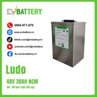 Dịch Vụ Lên PIN Xe Máy Điện VinFast Ludo 48V 30AH NCM