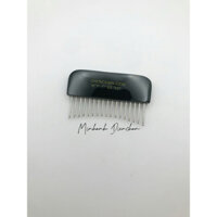 Diện Chẩn- LƯỢC MINI