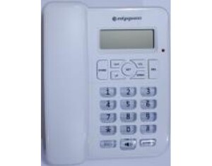 Điện thoại bàn Nippon NP1407