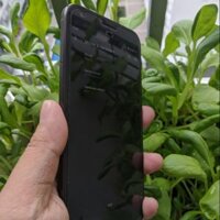 Điện thoại Pixel XL [96%]