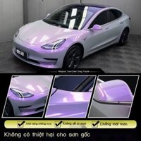 Điện xe máy thú cưng xe thay đổi phim giả tưởng Ash Fantasy màu xám màu tím xe máy laser đầy màu sắc