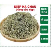 Diệp Hạ Châu - Chó Đẻ Răng Cưa 1kg