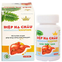 Diệp Hạ Châu Kingphar, giải độc gan, tăng cường chức năng gan