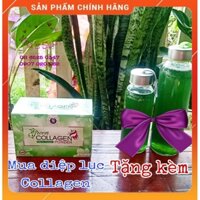 DIỆP LỤC COLLAGEN HỖ TRỢ LÀM ĐẸP DA, TĂNG CƯỜNG NỘI TIẾT TỐ