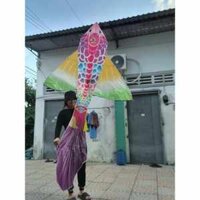 Diều cá chép bông rồng khủng lồ