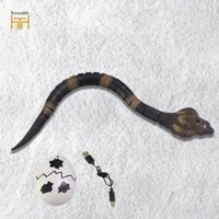 Điều khiển rắn di chuyển rắn về phía trước Đồ chơi lừa đáng sợ