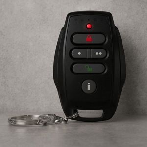 Điều khiển từ xa PARADOX REM25