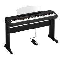 Digital Piano Yamaha P-155