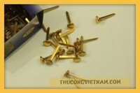 Đinh cánh phượng loại 3cm