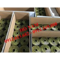 Đinh cuộn xoắn đóng pallet 2.3x57mm, đinh bắn pallet gỗ