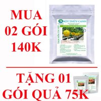 Dinh dưỡng thủy canh ăn trái combo 2 gói 140k tặng gói quả 75k