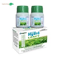 Dinh dưỡng thuỷ canh cho rau ăn lá  Hydro Leafy Small