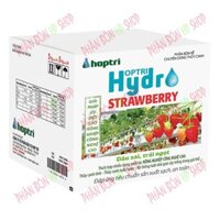 DINH DƯỠNG THỦY CANH DÂU TÂY HYDRO STRAWBERRY (10KG)