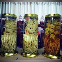 Đinh Lăng Điêu khắc Ngâm Rượu