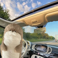 Dính và Úp decor xe 70cm hình con hải cẩu chính hãng dễ thương ôm giường ngủ búp bê rái cá biển búp bê siêu mềm quà tặng