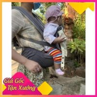 Địu ngồi trẻ em Aimama Hàn Quốc - Hàng chính hãng có đỡ cổ full hộp
