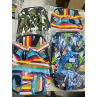 Địu thú cưng đi dạo, Balo địu chó mèo nhiều mẫu dễ thương đủ size L