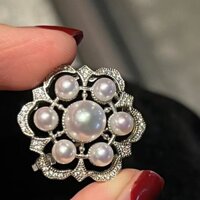 Diy Ngọc Trai Phụ Kiện Hoa Hồng Trâm Vòng Cổ Vòng Tay Khóa Hai Mặc Phong Cách