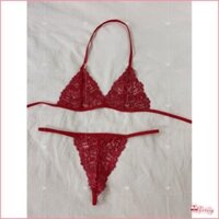 DL015-D Set đồ lót ren đỏ 2 mảnh xuyên thấu thêu họa tiết, set nội y phong cách gợi cảm quyến rũ