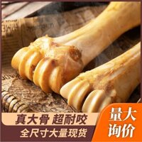 Đồ Ăn Nhẹ Cho Chó Bò Hoof Xương Lớn Vừa Chó Nhỏ Răng Xương Chó Răng Dính Thú Cưng Đồ Ăn Nhẹ Sắc Nét Thịt Bò Dính Xương