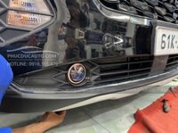 Độ bi gầm Sulcata cho Custin