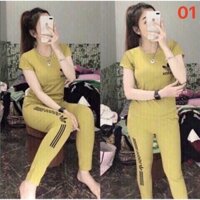 Đồ bộ Adidas nữ dáng ôm, bộ lửng tun cotton co dãn thoải mái dáng ôm cho nữ