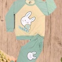Đồ bộ bé gái thun cotton bé từ12-17kg