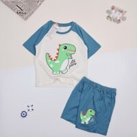 Đồ bộ bé trai, đồ bộ trẻ em chất thun cotton, size 1-12 tuổi, có nhiều màu - BEEKIDS