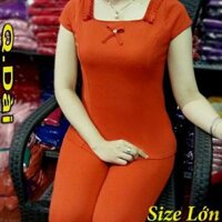 Đồ bộ cát hàn aize lớn