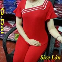 Đồ bộ cát hàn size lớn