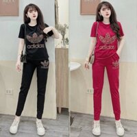 Đồ bộ dài thun cotton đính đá ba lá (2 màu đen, đỏ)