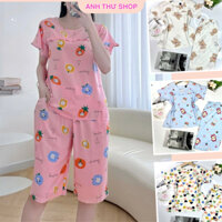 Đồ Bộ Nữ Tole Lanh Lửng Tay Ngắn Cổ Tròn VNXK 38-75kg, Chất Tole Lanh Loại 1 Mịn Mát- AT shop